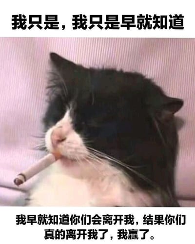 图片中一只黑白相间的猫慵懒地躺在粉色沙发上，嘴里叼着香烟，表情冷漠不屑。上方文字“我只是，我只是早就知道”与下方“我早就知道你们会离开我，结果你们真的离开我了，我赢了”形成呼应，通过猫咪的神态和文字内容，营造出一种用“胜利”姿态掩饰内心失落的复杂情绪，展现对离别结果的自嘲式接受。