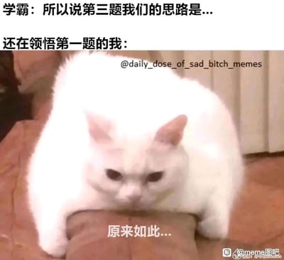 这是一张引发学生群体共鸣的搞笑meme图，通过分层文字和猫咪神态构建了真实的学习窘境场景：上方文字是学霸正在讲解第三题的解题思路，下方则是“还在领悟第一题的我”，配着图中白色猫咪眉头紧皱、低垂脑袋、身体压低的凝重窘迫神态，以及猫咪下方的“原来如此...”文字，生动刻画了自己完全跟不上学霸节奏，却只能强装听懂、硬着头皮附和的无奈状态，精准戳中了很多人在学习中落后于他人的窘迫心情，极具代入感。