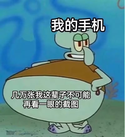 这张表情包采用了美国动画《海绵宝宝》中章鱼哥肚子异常膨大的画面，在画面上方标注文字“我的手机”，在章鱼哥膨大的肚子位置标注文字“几万张我这辈子不可能再看一眼的截图”，将章鱼哥的大肚子类比为被大量无用截图占满内存的手机，形象又搞笑地吐槽了很多人习惯随手存截图但之后再也不会翻看、白白占用手机存储空间的普遍现象，很容易引发网友共鸣。
