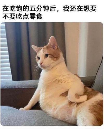 这是一张图文结合的搞笑表情包，上方配有文字“在吃饱的五分钟后，我还在想要不要吃点零食”，图中是一只体型肥胖的白橘相间猫咪，它以类似人类的慵懒姿势瘫坐在沙发上，一只爪子搭在自己圆滚滚的肚子上，表情看起来有些纠结又带着点馋意，完美契合了配文里那种明明刚吃饱却又忍不住惦记零食的矛盾心态，非常生动地展现了很多人在饮食上的小纠结，容易引发共鸣。