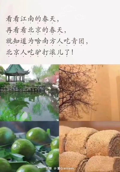 这是一张图文结合的趣味对比梗图，上方配文“看看江南的春天，再看看北京的春天，就知道为啥南方人吃青团，北京人吃驴打滚儿了！”，下方分为四个板块：左上是绿意盎然、花开水秀的江南春日园林水景；右上是带着沙尘感、树木还未抽芽的北京春日景象；左下是南方春日特色青绿点心青团；右下是北京土黄色特色点心驴打滚。图中用南北春日的环境差异，趣味化呼应两地特色美食的色彩，调侃地域饮食和当地自然环境的关联，没有双关或谐音梗。
