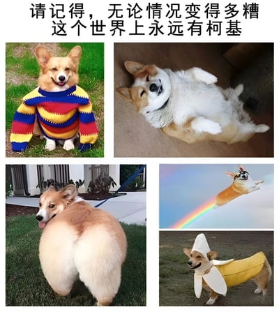 这是一张多图拼接的治愈系萌宠梗图，上方配有文字“请记得，无论情况变得多糟 这个世界上永远有柯基”。图片包含五张不同姿势的柯基照片：第一张是穿着红黄蓝条纹毛衣的柯基坐在绿草地上，咧嘴微笑；第二张柯基仰卧在地，露出肚皮，表情惬意；第三张是柯基的翘臀背影，毛发蓬松；第四张柯基穿着黄色香蕉装站立，十分可爱；第五张柯基被卡通化处理，在彩虹上飞行，充满童趣。整体通过柯基的萌态传递温暖治愈的情绪，鼓励人们在困境中保持乐观。