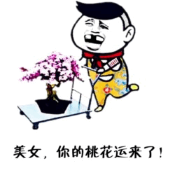 图中是一个卡通风格的男性角色，他留着黑色短发，面带夸张的笑容，脖子上围着红色围巾，穿着黄色带花纹的裤子。角色正双手捧着一个插有粉色桃花的黑色花瓶，身体微微前倾，似乎在热情地递送。图片底部配有文字“美女，你的桃花运来了！”。这里运用了双关语：“桃花运”既指图片中的桃花，也暗指异性缘、浪漫机遇。