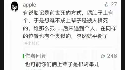 图片是一组网络评论截图，上方用户展开联想，讨论关于肚子上胎记的奇葩解释，认为胎记可能是前世被插死留下的印记，并吐槽自己碰到了一个有一样胎记的人觉得平衡了。下方神评论回复用烤串幽默作答：“也可能你们俩上辈子是根烤串儿”，将原本有点阴森的话题变成了搞笑梗，形成了经典的网络幽默回应。

*涉及谐音梗或者双关梗：最后的"烤串"说法，既承接了上文“插死”“类似位置有印记”，又把潜在的阴森意味巧妙地转成美食搞笑，属于典型的“歪解”式神评论梗。*