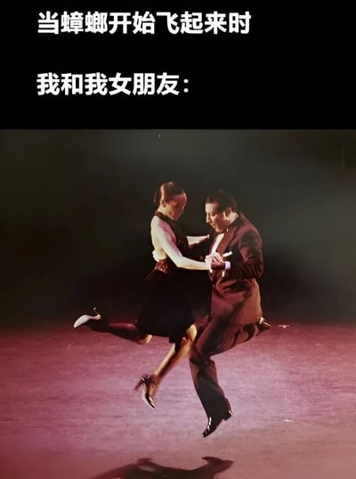 图片上方有两行白色文字：“当蟑螂开始飞起来时 我和我女朋友：”，下方是一张真人照片，内容为一男一女穿着正式服装（男子西装革履，女子身着黑色连衣裙配高跟鞋）正在舞台上跳双人舞，两人呈现跳跃腾空的姿态，男子双手紧握女子，女子单腿后伸，动作优雅。通过将优雅的舞蹈场景与“蟑螂飞起时情侣的反应”这一生活化的搞笑情境结合，形成幽默反差效果。