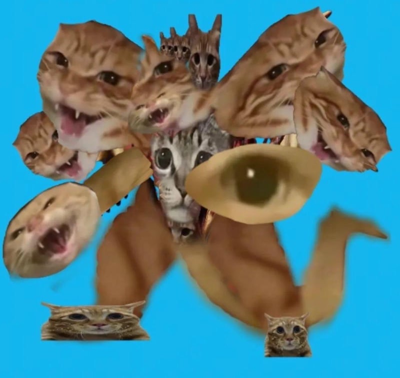 惊讶猫