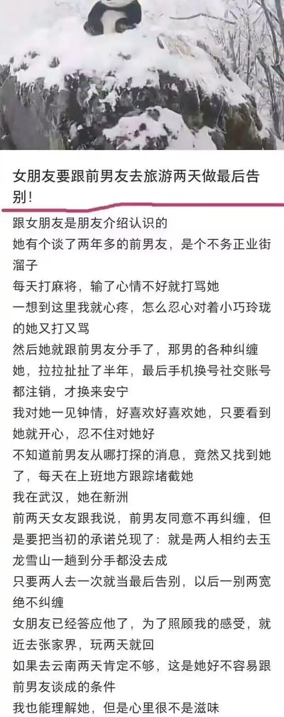 这是一篇图文混排的情感求助帖，顶部是一张雪地里的熊猫图片，下方是用户的文字倾诉：博主通过朋友介绍结识现女友，女友曾被有暴力行为的前男友长期打骂，分手后还被纠缠半年，换号销号才得安宁。博主对女友一见钟情，十分疼爱她，可前男友又跟踪堵截女友。如今前男友提出要和女友去张家界旅游两天作为最后告别，才同意不再纠缠，女友已答应，博主表示理解但内心十分纠结难受。