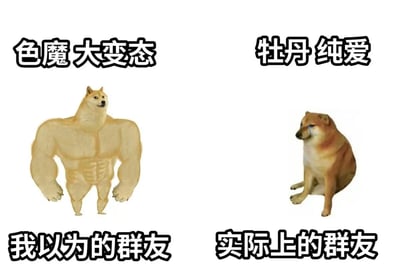 这是一张左右对比风格的梗图，通过两只柴犬的形象反差来调侃群友的真实面貌。左侧是一只拥有夸张肌肉线条的柴犬，上方配有文字“色魔大变态”，下方标注“我以为的群友”，塑造出一种人们对群友可能存在的夸张化、不正经的想象；右侧则是一只表情悲伤、眼神委屈的普通柴犬，上方文字为“牡丹纯爱”（“牡丹”网络用语指单身未恋爱的人），下方标注“实际上的群友”，展现出群友真实中可能更偏向单纯、甚至有些“母胎solo”的状态。整体通过强烈的视觉和文字对比，以幽默方式呈现对群友认知的反差萌。