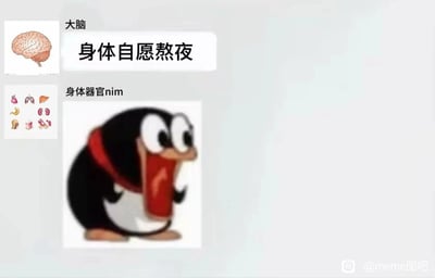这是一张采用聊天记录形式创作的搞笑meme图，画面上方是标注为“大脑”的人脑图标，配文“身体自愿熬夜”，模拟大脑做出熬夜的决定；画面下方是标注为“身体器官nim”的多种内脏器官图标，搭配一个来自《鼹鼠的故事》的二次创作表情包，该表情包里的鼹鼠瞪大双眼、大张嘴巴，姿态蜷缩，满脸震惊抗拒，配文里的“nim”是脏话“尼玛”的谐音，生动地表现出当大脑强行决定熬夜时，身体各个器官的不满与抗拒，用幽默戏谑的方式调侃当代人经常熬夜的生活状态，容易引发有熬夜经历的网友的共鸣。