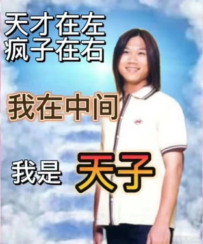 这是一张图文结合的搞笑梗图，背景为带有阳光效果的蓝天白云，画面右侧是一位留着中长发、面带温和笑容的真人男性，自然站立着。图中从上到下配有三段文字：上方是“天才在左 疯子在右”，中间是“我在中间”，下方是“我是 天子”。创作者改编自书籍《天才在左 疯子在右》的书名，通过拆解“天才”的“天”与“疯子”的“子”，组合成“天子”一词，玩谐音拼接的梗，将自己调侃为身处中间的“天子”，以此制造幽默搞笑的效果。