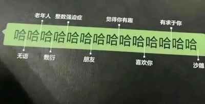 这是一张模仿聊天记录样式的趣味文字加注静态图，主体为绿色聊天消息框内的连续文字“哈哈哈哈哈哈哈哈哈哈哈哈哈哈哈哈”。创作者在这些“哈”的不同位置，通过引线标注出了对应的社交含义，从左到右依次为：无语、敷衍、老年人、整数强迫症、朋友、觉得你有趣、喜欢你、有求于你、沙雕。该图以幽默调侃的方式，总结了线上社交聊天中，发送连续“哈哈”时可能存在的不同动机与背后情绪，精准贴合日常线上聊天的细节，容易引发网友的共鸣，是对社交聊天场景的趣味化解构。