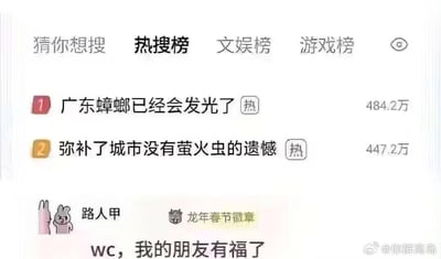 这是一张社交媒体热搜榜的截图，顶部显示“热搜榜”标签，下方列出两条热门话题：排名第一的“广东蟑螂已经会发光了”（热度484.2万）和排名第二的“弥补了城市没有萤火虫的遗憾”（热度447.2万）。截图底部有网友“路人甲”的评论“wc，我的朋友有福了”，并带有“龙年春节徽章”标识和水印“@你群离岛”。整体内容以幽默调侃的方式将广东蟑螂发光与城市萤火虫缺失联系起来，引发网友趣味互动。