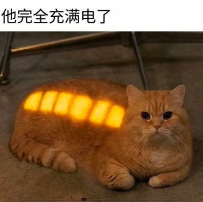 图中一只圆滚滚的橘色猫咪趴在地面上，背部被阳光透过窗格投下了类似电子设备充电满格的分段式暖光光影，图片上方配文“他完全充满电了”。创作者用拟人的脑洞，将猫咪晒太阳补充能量的日常场景，巧妙类比为电子设备充电完成，可爱的画面加上有趣的联想，十分治愈，精准戳中了人们对猫咪爱晒太阳的印象。
