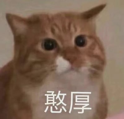 这是一张静态的宠物表情包，主体是一只橘白相间的猫咪，它睁着圆溜溜的大眼睛，眼神懵懂又透着老实感，正静止看向镜头。在猫咪的胸口位置配有醒目的白色“憨厚”二字，文字与猫咪的神态完美呼应，既贴切又带有搞笑效果，常用于在社交聊天中表达自己或他人看起来老实憨厚的状态，也可用来调侃表面憨厚实际另有反差的情境。
