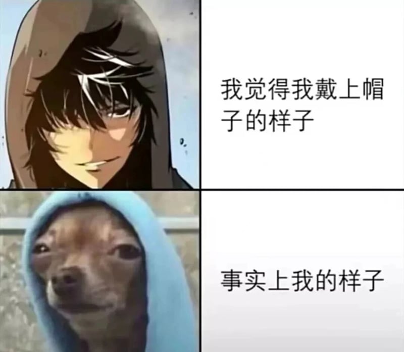 我独自升级