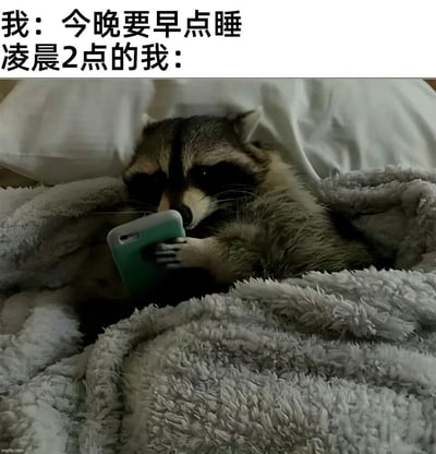 这是一张贴合当代年轻人生活的搞笑梗图，采用图文混排的形式，上方文字先表明“我”计划今晚早点睡的决心，下方则展示了凌晨2点时“我”的真实状态：一只浣熊被柔软的毛绒毯子包裹着，用爪子捧着手机，眼神专注地盯着屏幕，生动地还原了很多人明明下定决心早睡，却忍不住熬夜刷手机的“打脸”日常，用拟人化的动物形象精准戳中大众的共鸣点，充满趣味性和真实感。