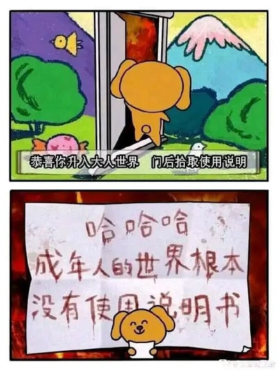 这是一幅由上下两格组成的连环手绘漫画。上格画面中，一只卡通小狗正推开一扇门，门外是有着翠绿树木、小鸟和卡通化富士山的清新户外场景，配文提示“恭喜你升入大人世界 门后拾取使用说明”，营造出一种进入新领域有指南可循的期待感；下格画面则是反转，小狗手持一张皱巴巴的纸，纸上用略带潦草的字体写着“哈哈哈 成年人的世界根本没有使用说明书”，小狗的神情也从期待变成了带着自嘲的无奈笑容。这幅漫画用这种前后反差的幽默方式，调侃了成年人的世界没有既定的规则和指南，充满未知与无措，引发成年人的情感共鸣。