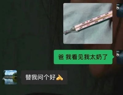 这是一张网络流传的微信聊天记录搞笑梗图，图片上方是发烧的子女发送给父亲的水银体温计照片，体温计显示体温超过了41℃，属于严重高烧；子女随后发绿色气泡消息称“爸 我看见我太奶了”，暗示自己高烧过重快要不行，已经见到去世的太奶；父亲回复黑色气泡消息“替我问个好”并搭配作揖手势，离谱的回复和子女的病危调侃形成强烈反差，制造出了搞笑效果。