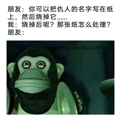 图片上方为朋友与“我”的对话文字：朋友建议把仇人的名字写在纸上烧掉，“我”却认真询问“烧掉后呢？那张纸怎么处理？”，朋友的回复部分用一张猴子 puppet 的图片替代。猴子 puppet 有着呆滞的大眼睛和僵硬的面部表情，眼神迷茫地直视前方，完美呼应了朋友被这个出乎意料的 literal 问题问住的困惑状态，形成幽默效果。