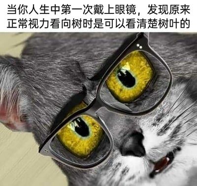 这是一张经过创意P图改编的趣味梗图，画面中猫咪的眼睛被处理成从黑色眼镜框中凸出的夸张效果，搭配上方文字“当你人生中第一次戴上眼镜，发现原来正常视力看向树时是可以看清楚树叶的”，生动且夸张地还原了近视人群初次佩戴眼镜，看清清晰世界时那种震惊、不敢置信的心情，用搞笑的视觉效果放大了这种极具共鸣的生活体验，容易引发近视网友的共情。
