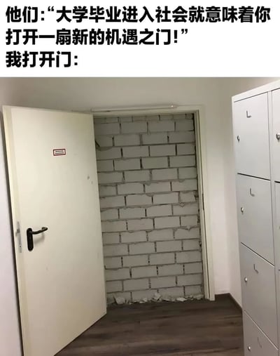 图片上方配有文字“他们：'大学毕业进入社会就意味着你打开一扇新的机遇之门！' 我打开门：”，下方是一张照片，展示了一扇打开的门，门后却被一堵砖墙封死，没有任何通路。通过文字与图片的反差，幽默地表达了大学毕业生对社会充满期待，却发现现实与理想存在巨大差距的无奈感受。