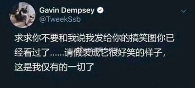 这是一张X（原Twitter）平台的社交媒体静态截图，画面展示了带有蓝色认证标识的用户Gavin Dempsey（账号@TweekSsb）发布的一条推文。推文以略带自嘲和卑微的语气写道：“求求你不要和我说我发给你的搞笑图你已经看过了……请假装成它很好笑的样子，这是我仅有的一切了”，精准表达了人们在分享自己觉得有趣的内容时，渴望获得对方认可与反馈，担心自己的分享不被重视的微妙心情，兼具幽默与一丝心酸的反差感。截图的推文文字区域中间带有一个半透明的“英语美句专项”水印。