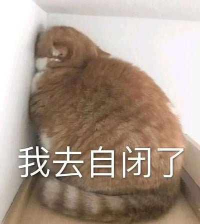 一只胖乎乎的橘猫蜷缩在白色墙角的角落里，整个身体团成一个圆形，脑袋埋进身体里看不见脸，只露出毛茸茸的背部和带有条纹的尾巴。图片下方配有白色文字“我去自闭了”，将猫咪躲起来的行为拟人化，幽默地表达了想独自待着、不想被打扰的心情。