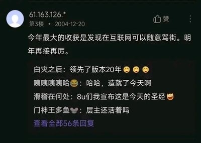 这是一张社交媒体论坛的评论区静态截图，楼主以IP地址作为匿名ID，发布时间标注为2004年12月20日，楼主发言戏谑地称自己当年最大的收获是发现可以在互联网随意骂街，还表示要在明年继续这么做。下方的网友回复充满调侃，有人称楼主的发言“领先了版本20年”，暗指在2004年的网络环境下这种言论在现在看来有种超前的反差感，还有网友调侃这是“今天的圣经”，以及询问楼主是否还活跃，整体互动充满网络社区的戏谑氛围，截图还显示有56条未展示的回复。