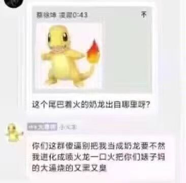 这张图片是网友关于宝可梦小火龙（Charmander）与网络热门角色“奶龙”的搞笑聊天截图，一人误把小火龙说成“奶龙”，结果被另一网友激烈反驳，并威胁进化成火恐龙用火喷他们妈的大逼流。这句话由于用词激烈和网络用语的粗俗表达，常被网友用来调侃“认知错误”和“杠精”行为，也带有一丝恶搞和二次创作成分。

值得注意的是，这里出现了“奶龙”和“小火龙”的音近梗（谐音），以及‘大逼流’等NSFW（不适宜工作场合）字眼，让画面幽默中带点恶趣味。