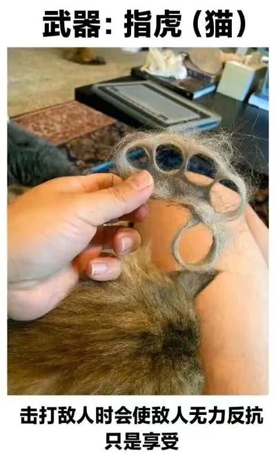 一只手握着一团猫毛，这团猫毛被巧妙地塑造成了指虎（brass knuckles）的形状。图片顶部配有文字“武器：指虎（猫）”，底部文字则幽默地写道“击打敌人时会使敌人无力反抗 只是享受”。整体通过将猫毛与武器“指虎”结合，利用谐音和形状相似性制造出搞笑效果，展现了宠物主人对猫咪掉毛的趣味化处理。