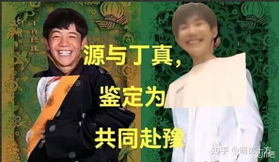 这是一张网友制作的拼贴换脸梗图，画面分为左右两部分：左侧是丁真的脸被拼接在身着黑色传统服饰的人物身体上，旁边标注有“丁真珍珠”字样；右侧是王源的脸被拼接在身着白色服饰的人物身体上。图中配有黄色的三段式文字：“源与丁真，鉴定为，共同赴豫”。这里运用了双关谐音梗，“源”指代王源，“赴豫”既可以指前往河南省（豫是河南的简称），又谐音“富裕”，调侃王源和丁真一起走向富裕，整体内容搞笑诙谐，是网友创作的玩梗内容。