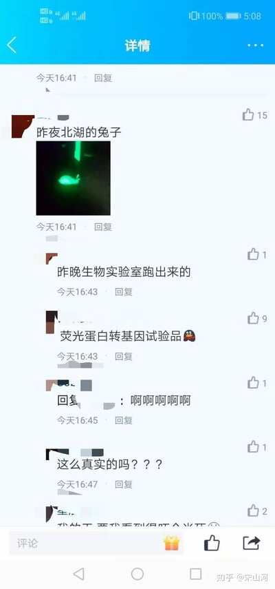 这是一张社交媒体评论区的截图，展示了用户们对一张神秘发光绿色物体图片的有趣讨论。图片中可以看到一个黑暗背景下发出绿色荧光的物体，引发了网友们的各种猜测和反应。评论内容包括幽默的推测如"昨夜北湖的兔子"、"生物实验室跑出来的"、"荧光蛋白转基因试验品"等，以及一些表示惊讶和疑问的回复如"啊啊啊啊啊"和"这么真实的吗？？？"。整个评论区氛围轻松有趣，充满了网友们的想象力和幽默感。