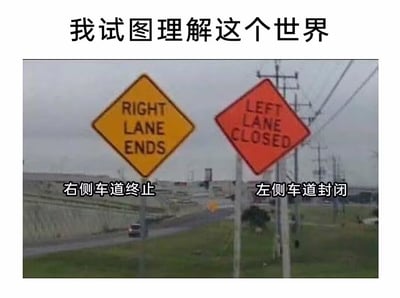这张梗图上方配有文字“我试图理解这个世界”，下方是现实中的两块道路指示牌：黄色牌子标注英文“RIGHT LANE ENDS”，对应中文“右侧车道终止”；红色牌子标注英文“LEFT LANE CLOSED”，对应中文“左侧车道封闭”。两块牌子同时出现制造出左右车道都无法通行的矛盾荒诞感，精准吐槽了生活中遇到的逻辑混乱、让人摸不着头脑的离谱状况，极易引发网友共鸣。