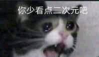 这是一张经过P图改编的网络表情包，图中是一只表情激动、嘴巴大张的真实猫咪，画面上方配有文字“你少看点二次元吧”。利用猫咪夸张的神态来传递对沉迷二次元行为的吐槽情绪，语气带着激动又无奈的感觉，适合在社交聊天中用来调侃身边沉迷二次元内容的朋友。
