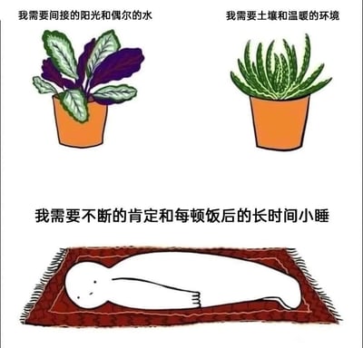 图片采用上下三格构图，上方左右两侧各为一盆卡通风格的盆栽，下方是一个平躺的简笔卡通人物。左侧盆栽叶片呈紫绿相间，上方文字为“我需要间接的阳光和偶尔的水”；右侧盆栽叶片细长，上方文字为“我需要土壤和温暖的环境”；下方人物躺在红色地毯上，上方文字为“我需要不断的肯定和每顿饭后的长时间小睡”。通过植物与人类的生存需求进行幽默对比，以轻松自嘲的方式表达现代人对情感支持和休息的渴望。