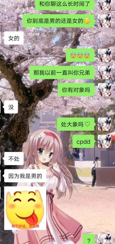 暂无描述