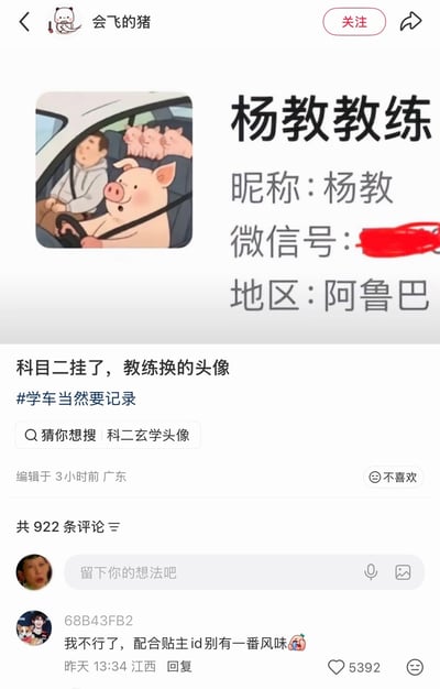 这是一张社交平台内容截图，发布者ID为“会飞的猪”，分享了自己的驾校杨教练的微信资料页：教练的头像是一张卡通梗图，内容为一只猪开车载着副驾的男性乘客和后座三只小猪，微信昵称是杨教，地区标注为阿鲁巴，微信号被打码。发布者配文称自己科目二挂科之后教练就换了这个头像，调侃意味明显，评论区有网友表示结合发布者“会飞的猪”的ID，笑点更加突出。
