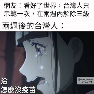 这是一张吐槽台湾疫苗短缺的梗图。上方文字为“网友：看好了世界，台湾人只示范一次，在两周内解除三级”，下方文字为“两周后的台湾人：淦怎么没疫苗”，配图是一个正在悲伤哭泣的动漫女性角色，流着大滴眼泪，表情十分痛苦。