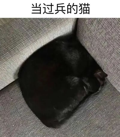 图片上方配有文字“当过兵的猫”，下方主体内容是一只纯黑色的猫咪，它将身体紧紧蜷缩成一个圆形，安静地睡在灰色布艺沙发的角落缝隙中。猫咪的姿势整齐紧凑，仿佛展现出一种纪律严明的姿态，与“当过兵”的文字描述形成幽默的呼应，通过拟人化的方式调侃猫咪睡姿的规整。