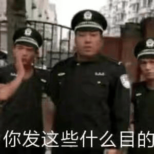 该梗图主要用作反问或调侃对方发言的用途，画面为几位穿制服人员，配有“你发这些什么意思”的文字，表现出质问或不解的语气，在网络社交语境中常带幽默感。