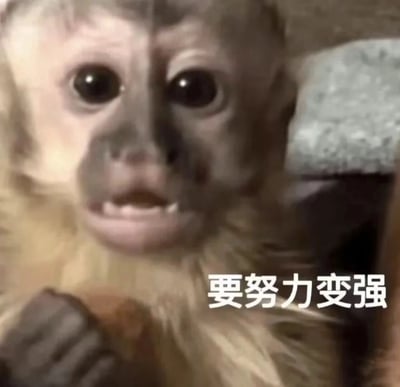 图片中是一只表情严肃的小猴子，它睁着大大的眼睛直视前方，眼神中带着一丝坚定。图片下方配有文字“要努力变强”，形成了一种反差萌的励志效果。猴子的面部特征清晰可见，毛发呈浅色，背景模糊不影响主体观察。
