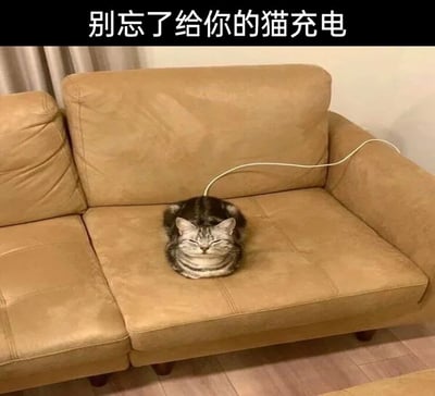 这是一张充满趣味的宠物摄影图，画面主体是一只美国短毛猫，它团成圆滚滚的一团，惬意地趴在浅棕色的皮质沙发上，双眼紧闭，表情放松，看起来正在休息。一根白色充电线从猫咪身后延伸出来，巧妙地营造出猫咪是需要充电的电子产品的视觉效果。图片顶部配有文字“别忘了给你的猫充电”，用拟人化的创意手法，将猫咪日常爱睡觉、仿佛在“补充精力”的状态类比为电子产品充电，整体画面可爱又搞笑，精准贴合猫咪嗜睡的习性，能引发宠物爱好者的共鸣。