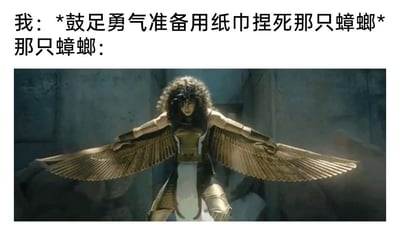 这是一张影视剧截图改编的搞笑梗图。图片上方写着“我：*鼓足勇气准备用纸巾捏死那只蟑螂*”和“那只蟑螂：”，下方则是《月光骑士》中莱拉化身猩红圣甲虫的画面：她低头凝视，神情冷峻，双腿弯曲，双臂展开一对巨大的金色翼翅，气场如同即将开战的强大战士。梗图用夸张的视觉反差表现现实中人们准备打蟑螂时，蟑螂突然展翅或起飞，反而把人吓到的心理状态。原帖标题“嚇哭了😱”也强化了这种又怕又好笑的情绪。