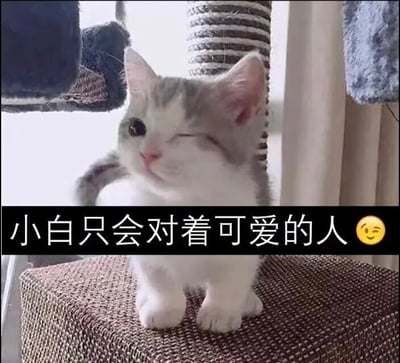 一只灰白相间的小奶猫坐在猫爬架的棕色剑麻平台上，左眼俏皮地眯起 wink，右眼圆睁注视前方，粉嫩鼻头微翘，胡须轻扬，表情治愈又灵动。背景可见猫爬架的麻绳立柱和灰色毛绒吊饰，光线柔和。图片底部有黑色背景白字文案：“小白只会对着可爱的人 😊”，将猫咪的自然萌态赋予拟人化互动感，暗指观看者正是被猫咪认证的“可爱的人”。