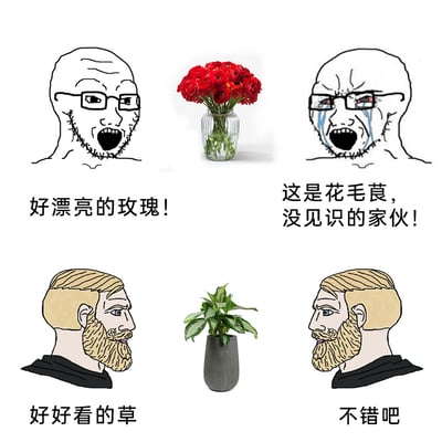 这是一张由四格组成的搞笑双标梗图，分为上下两组场景。上半部分：左侧的Wojak（失意者梗图形象）将花瓶中的红色花毛茛误认成玫瑰并发出赞叹，右侧的Wojak则愤怒哭泣，厉声纠正并指责对方没见识；下半部分：左侧的Chad（自信成功者梗图形象）将盆栽绿植误认成“草”并表示好看，右侧的Chad则平淡地表示认可。两组场景形成强烈的双标反差，用梗图的形式讽刺了双重标准的行为，同时结合植物认知的错误制造搞笑效果。