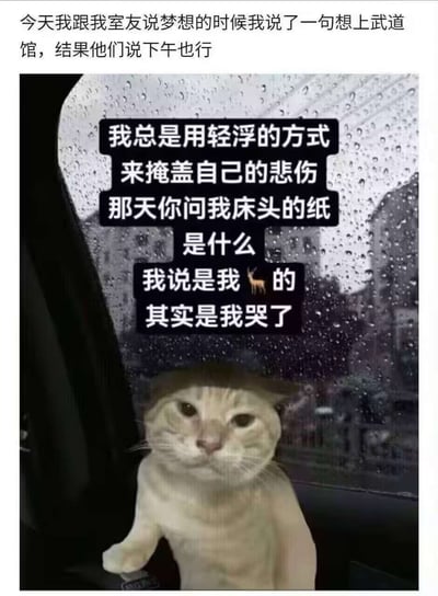 图片上方文字描述了与室友的趣事：当提到梦想是‘上武道馆’时，室友误以为是‘下午也行’，形成幽默误解。下方是一只白猫坐在车内的照片，车窗布满雨滴，猫的上方有黑色文字框，内容为‘我总是用轻浮的方式来掩盖自己的悲伤 那天你问我床头的纸是什么 我说是我🦌的 其实是我哭了’，通过猫的拟人化独白表达隐藏的悲伤，整体风格悲喜交织，用幽默形式展现内心情绪。