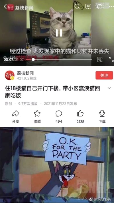 这是一张上下拼接的趣味梗图，上半部分是荔枝新闻的报道截图，内容为一只居住在18楼的美短猫自行开门下楼，带领小区流浪猫回到家中进食，主人检查后发现家中财物与猫咪都未丢失，只有猫粮被一扫而空；下半部分是经典动画《猫和老鼠》的截图，汤姆猫兴奋地举着写有“O.K. FOR THE PARTY”的牌子，与上半部分猫咪带朋友回家“开派对”吃饭的新闻内容完美呼应，用动漫梗图的形式增添了诙谐趣味，展现出猫咪暖心又调皮的行为。