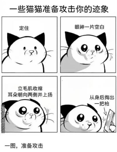 这是一张四格黑白卡通漫画，标题为“一些猫猫准备攻击你的迹象”。第一格猫猫“定住”，表情平静；第二格“眼神一片空白”，眼神空洞；第三格“立毛肌收缩 耳朵朝向两侧并上扬”，呈现警惕状态；第四格突然“从身后掏出一把枪”，形成强烈反差。底部配有文字“一图，准备攻击”。通过前三格对猫咪真实攻击前兆的拟人化描述，突然转折到第四格的荒诞掏枪动作，制造幽默效果。