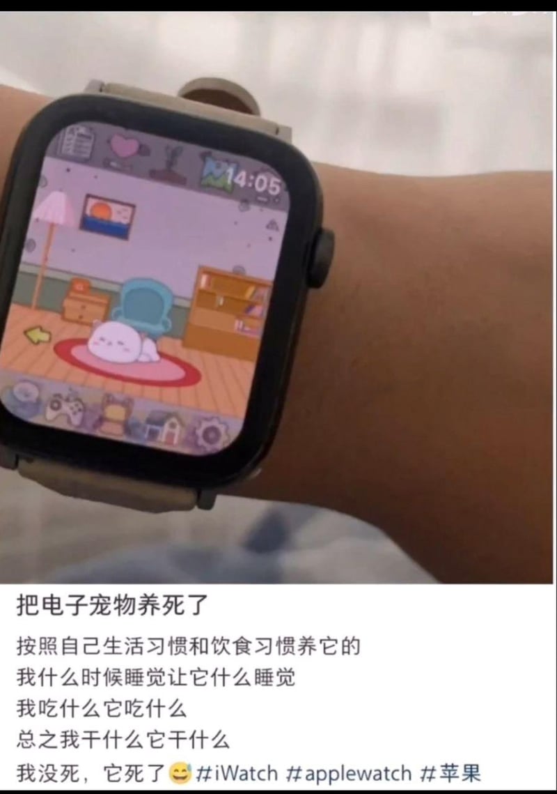 Apple Watch电子宠物APP