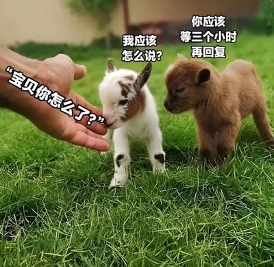图片展示了两只可爱的小山羊站在绿色草地上，一只白色带棕色斑点，另一只为棕色。左侧有一只人手伸向白山羊，手上配有文字"宝贝你怎么了?"。白山羊上方文字为"我应该怎么说?"，棕色山羊上方文字为"你应该等三个小时再回复"。图片通过拟人化的方式，用小山羊的对话幽默地表现了社交沟通中关于回复时机的纠结心态。